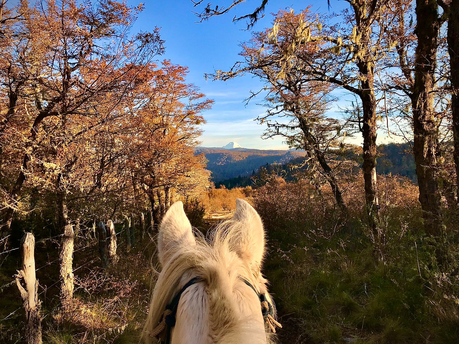 Cabalgata al atardecer