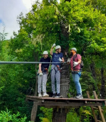 Canopy Nalcas