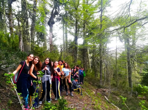 Giras de Estudio