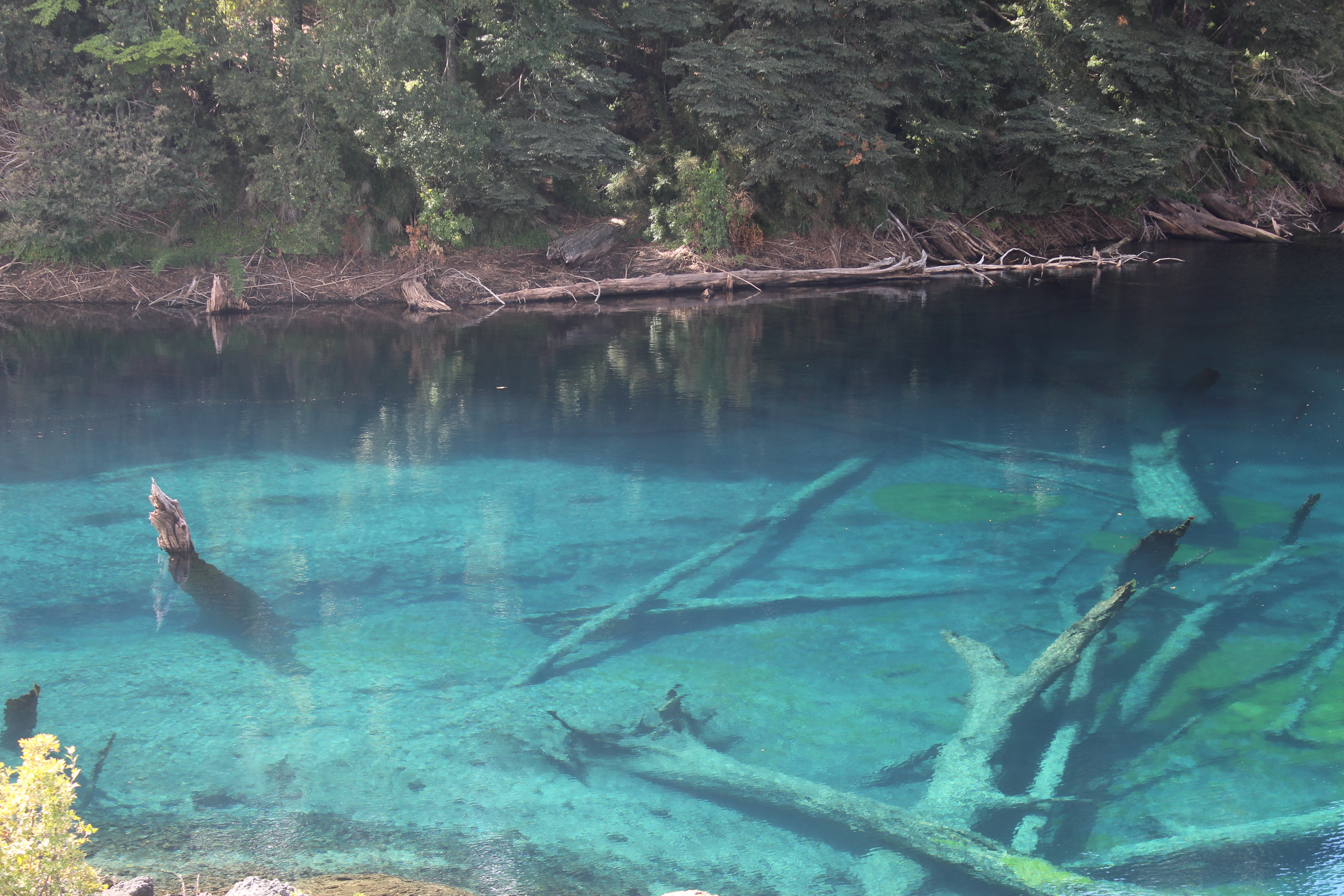 Laguna Captrén