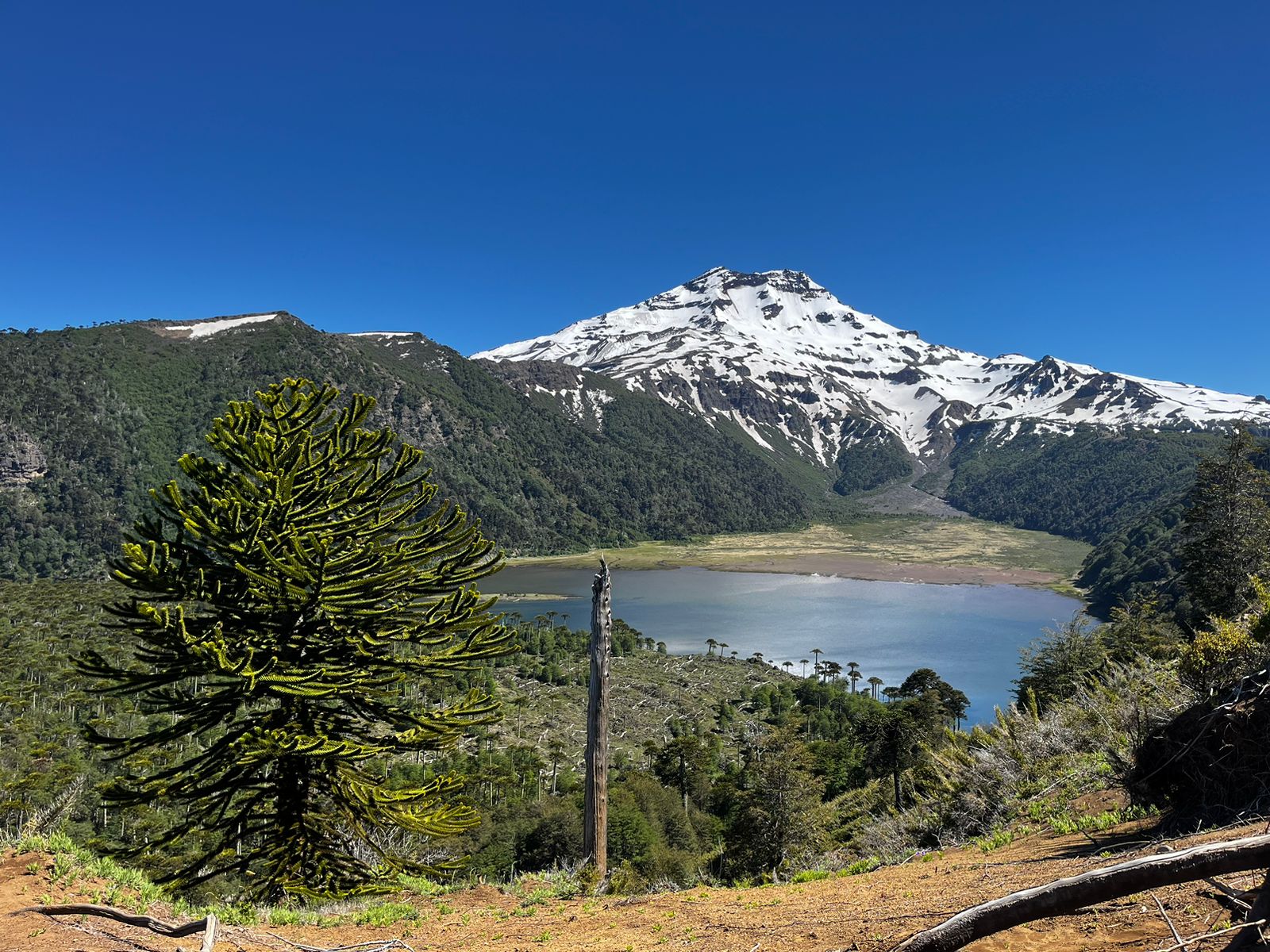 Laguna Blanca