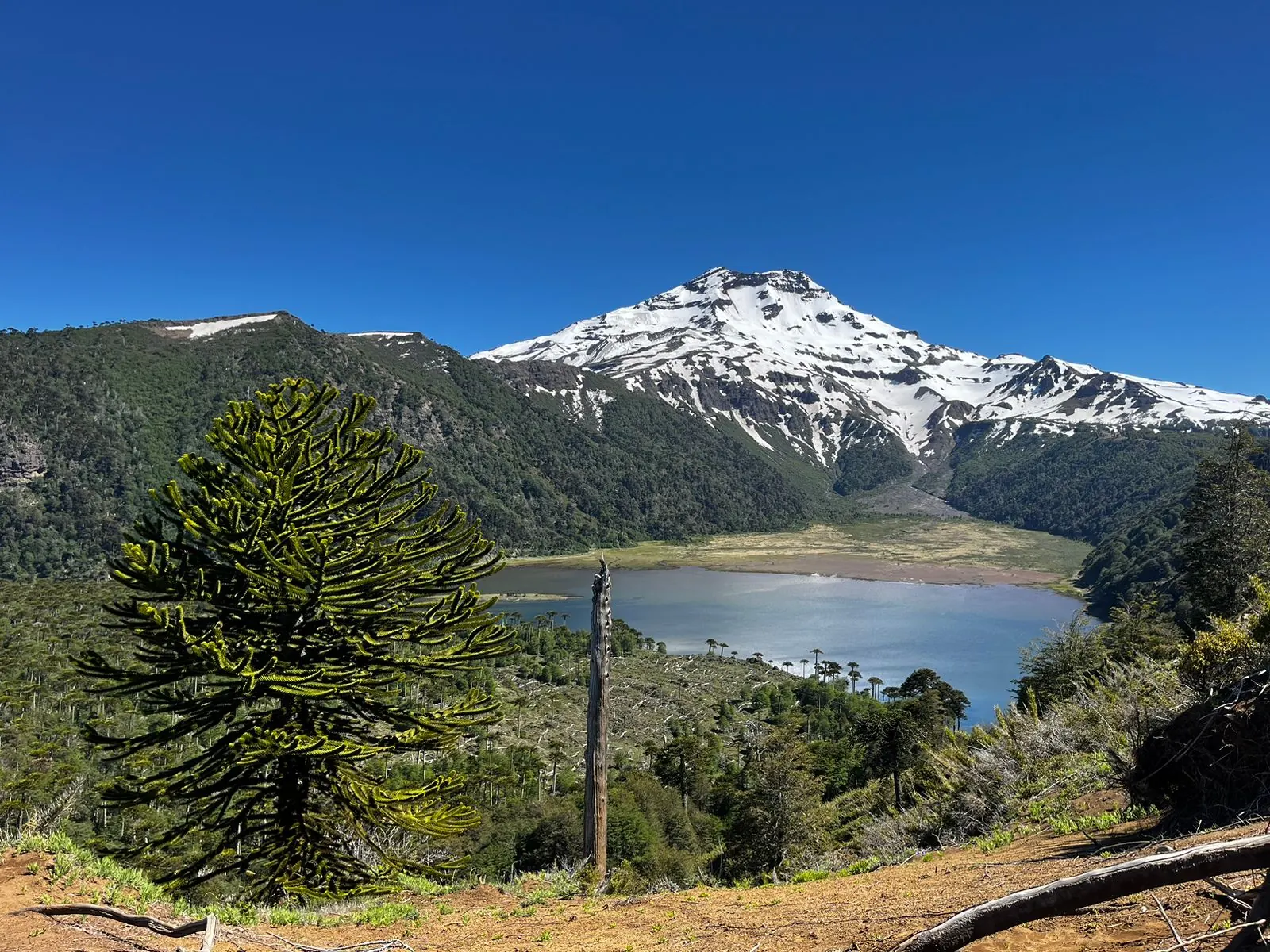 Laguna Blanca