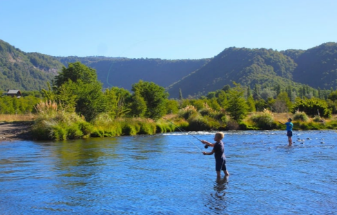 Pesca Río Cautín