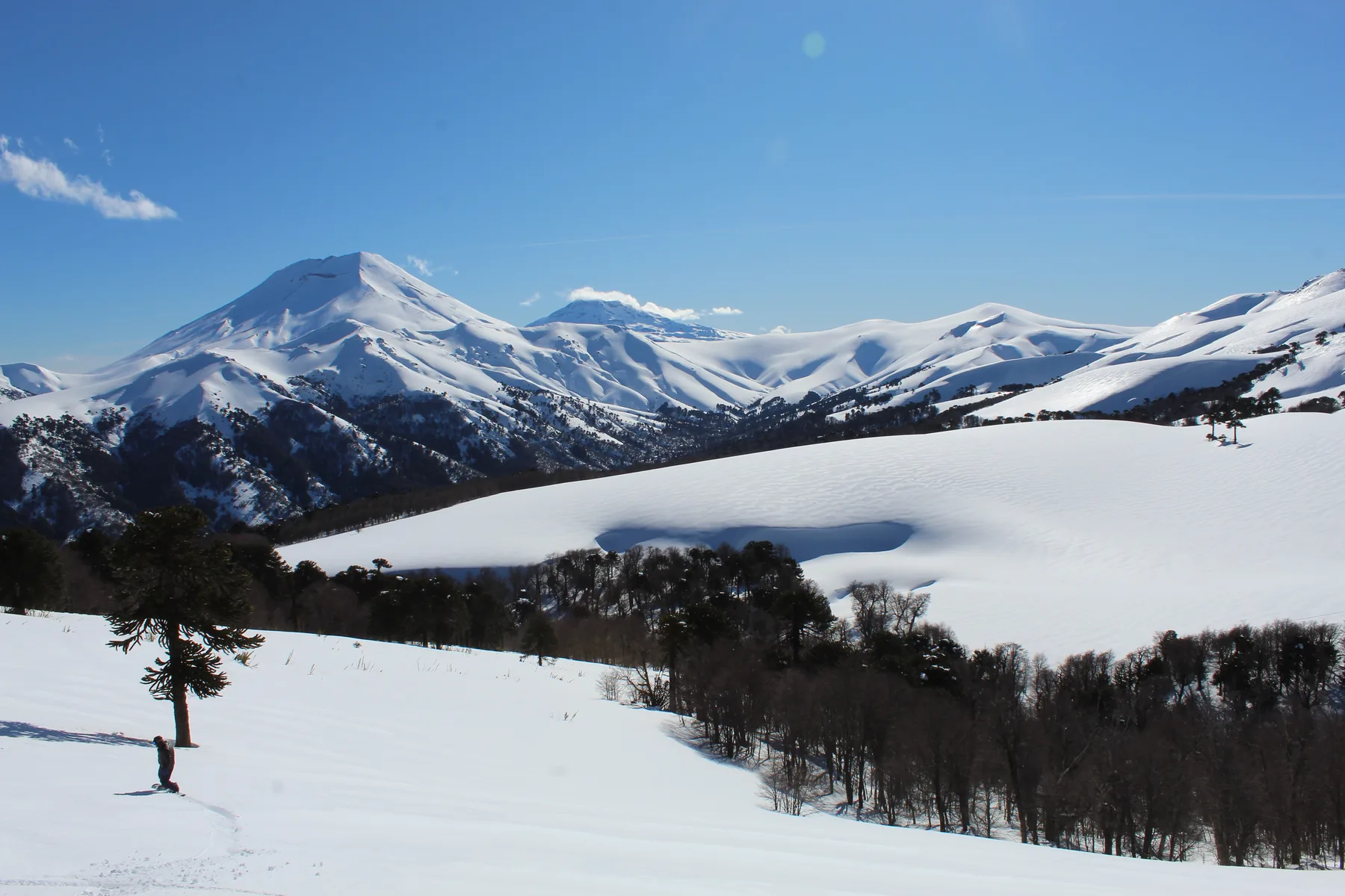 Paisaje nevado de Cuesta de Las Raíces