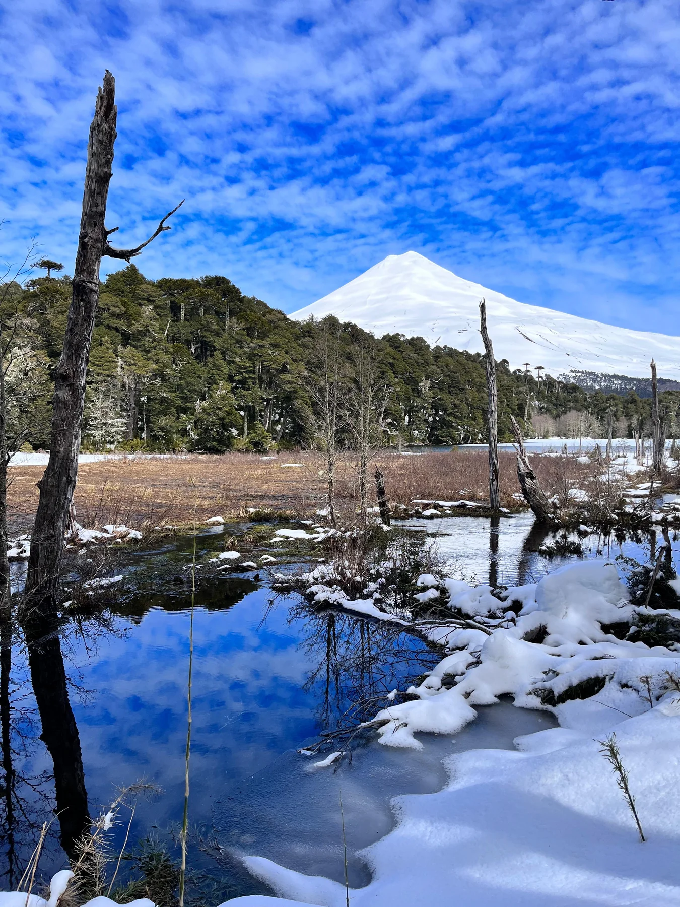 Laguna Captrén nevada en invierno